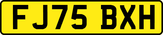 FJ75BXH