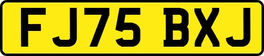 FJ75BXJ