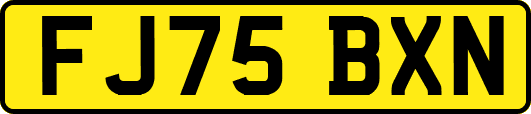 FJ75BXN