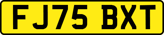 FJ75BXT
