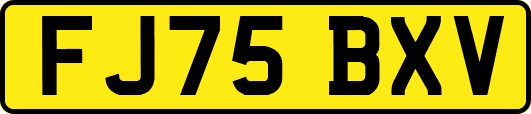 FJ75BXV