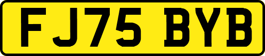 FJ75BYB