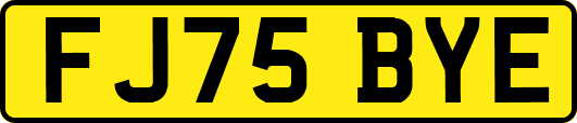 FJ75BYE