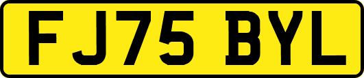 FJ75BYL