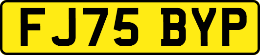 FJ75BYP