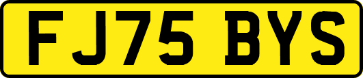 FJ75BYS