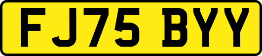 FJ75BYY