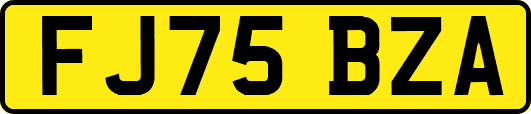 FJ75BZA