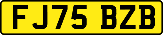 FJ75BZB
