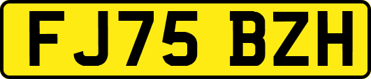 FJ75BZH
