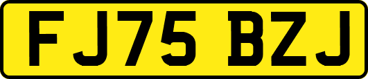 FJ75BZJ
