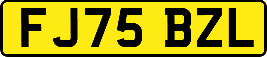 FJ75BZL