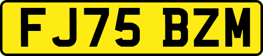 FJ75BZM
