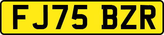 FJ75BZR