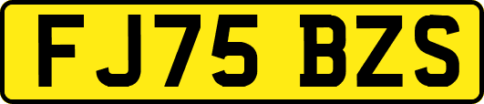 FJ75BZS