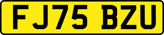 FJ75BZU