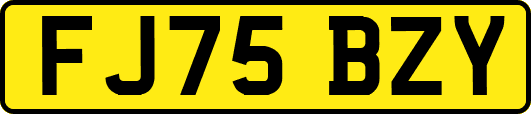 FJ75BZY