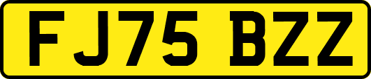 FJ75BZZ
