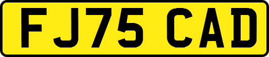 FJ75CAD