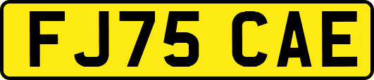 FJ75CAE