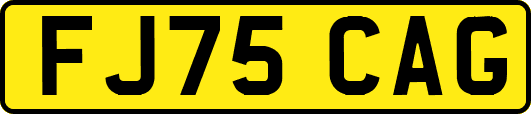 FJ75CAG