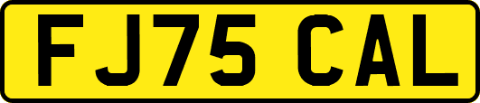 FJ75CAL