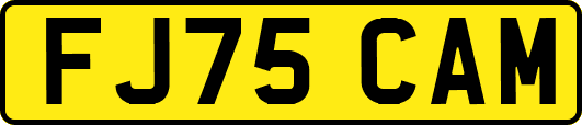 FJ75CAM