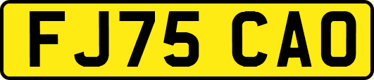 FJ75CAO