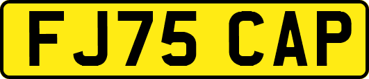 FJ75CAP