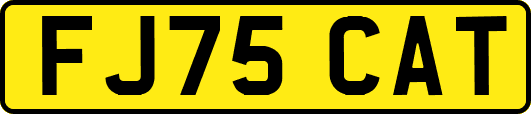 FJ75CAT