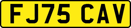 FJ75CAV