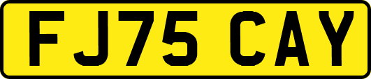 FJ75CAY