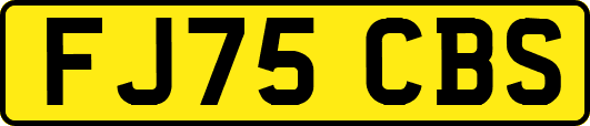 FJ75CBS