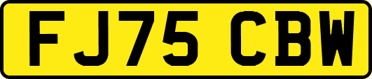 FJ75CBW