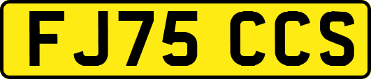 FJ75CCS