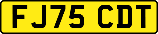 FJ75CDT