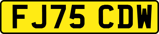 FJ75CDW
