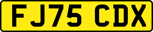 FJ75CDX