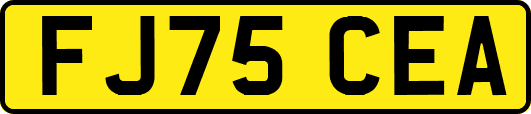 FJ75CEA