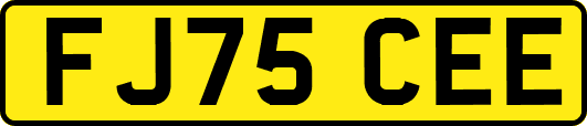 FJ75CEE