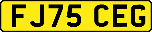 FJ75CEG