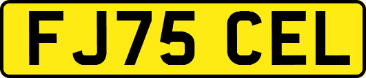 FJ75CEL