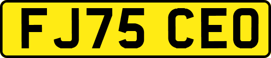 FJ75CEO