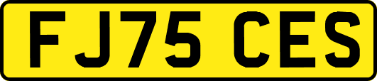 FJ75CES
