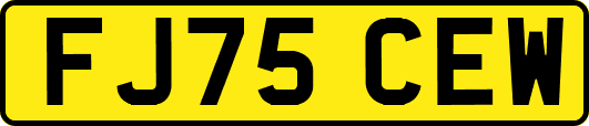 FJ75CEW