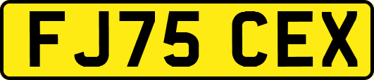 FJ75CEX