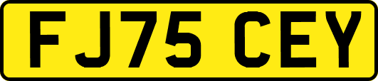 FJ75CEY