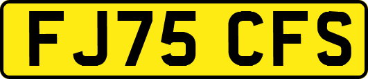 FJ75CFS