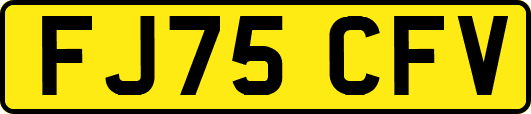 FJ75CFV