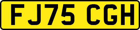 FJ75CGH